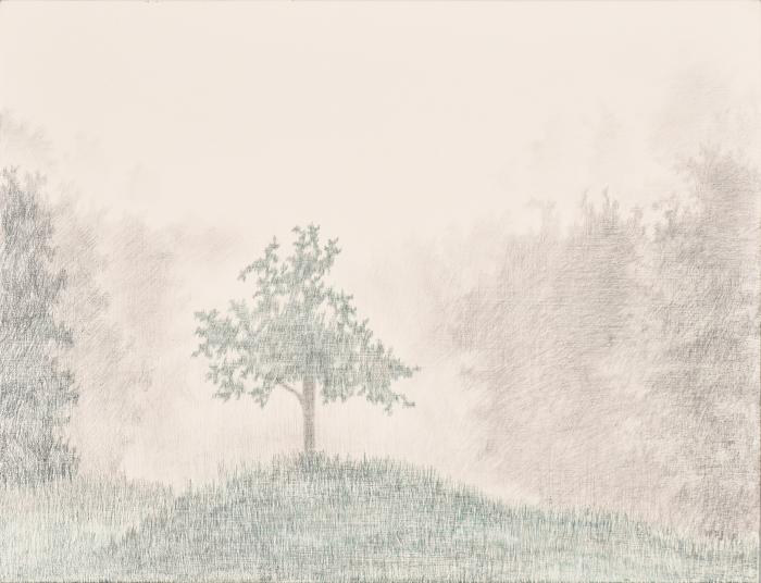 Apple Tree in Fog