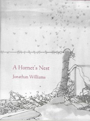 A hornet's nest (Jargon 108)