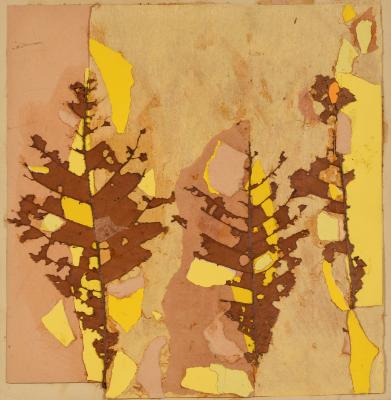 Leaf Study for Yale University Color Class
