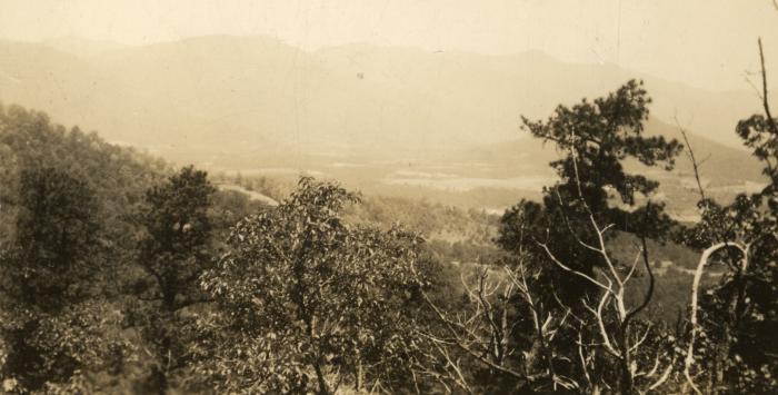 Black Mountain, 1935/36