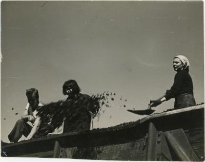 Gregory Masurovsky, Vera Baker, and Nancy Miller shoveling coal