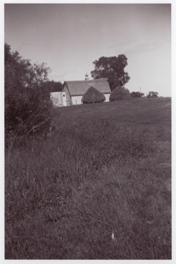 Barn and pasture