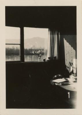 View outside the Studies Building window towards Lake Eden