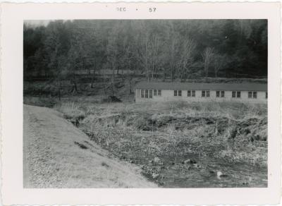 Library at Lake Eden