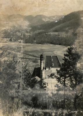 The Studies Building and landscape