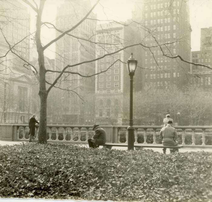 Untitled [Bryant Park & Public Library, New York City]