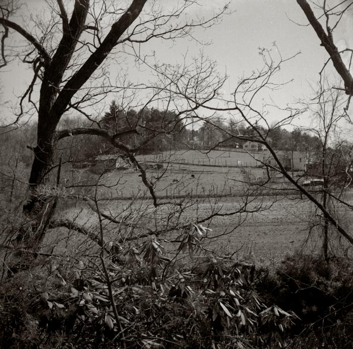 Untitled [Black Mountain Landscape]