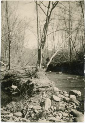 Behind the Studies Building