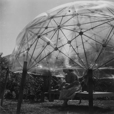 Construction of the Geodesic Dome