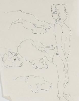 Untitled (Figure Drawing)