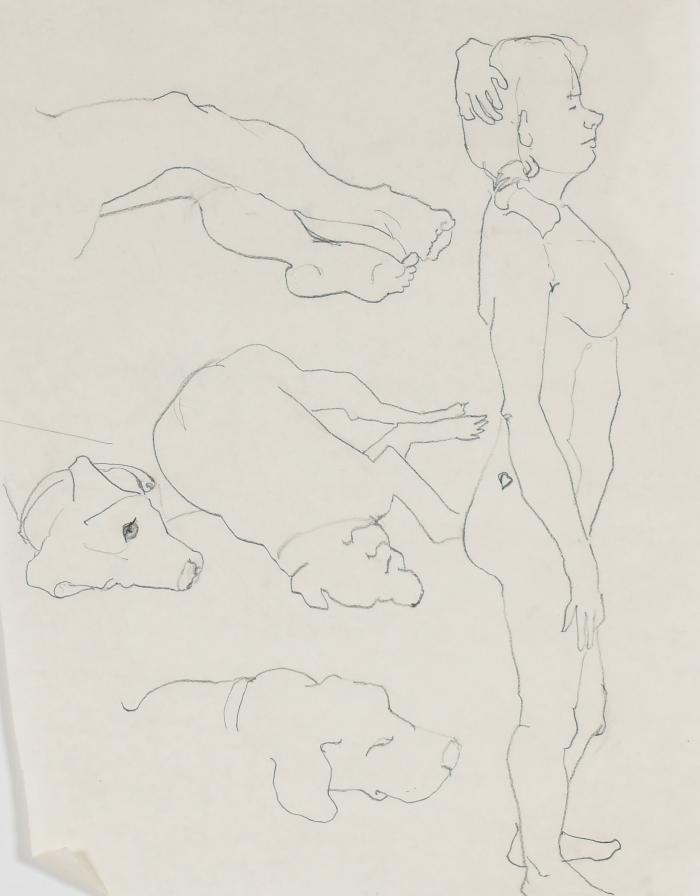 Untitled (Figure Drawing)